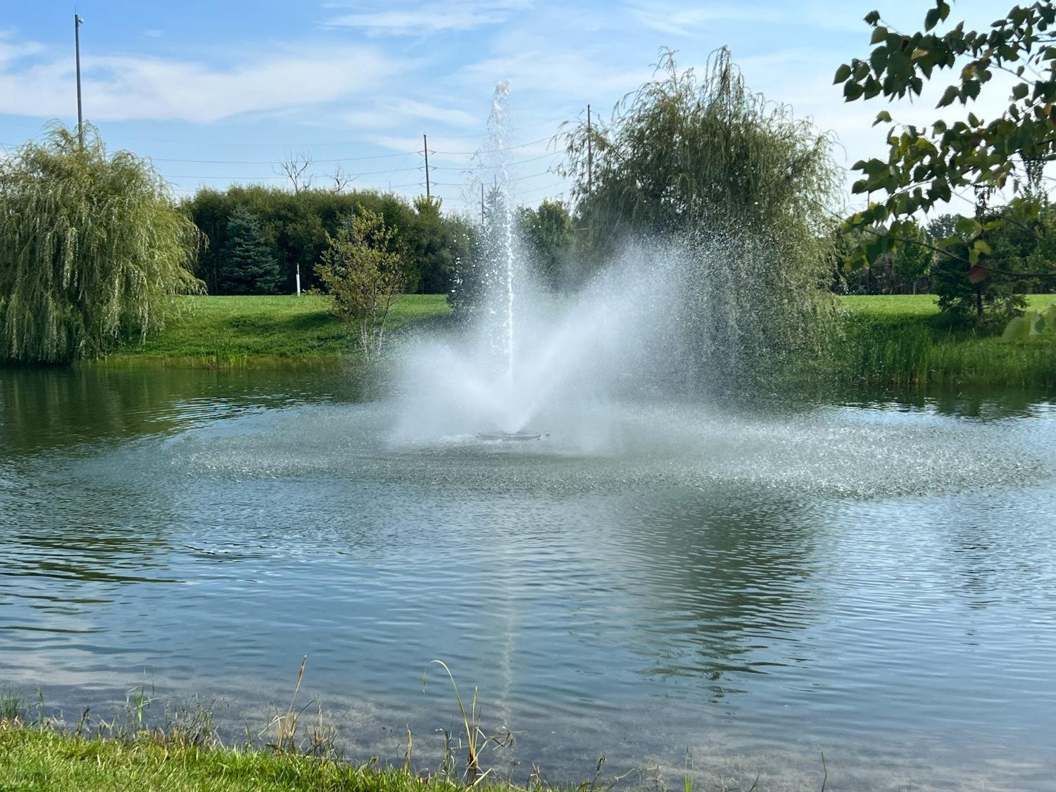 8415 Dancing Waters Lane St. John, IN 46373 - Photo 3 of 31 a view of a lake view with a garden