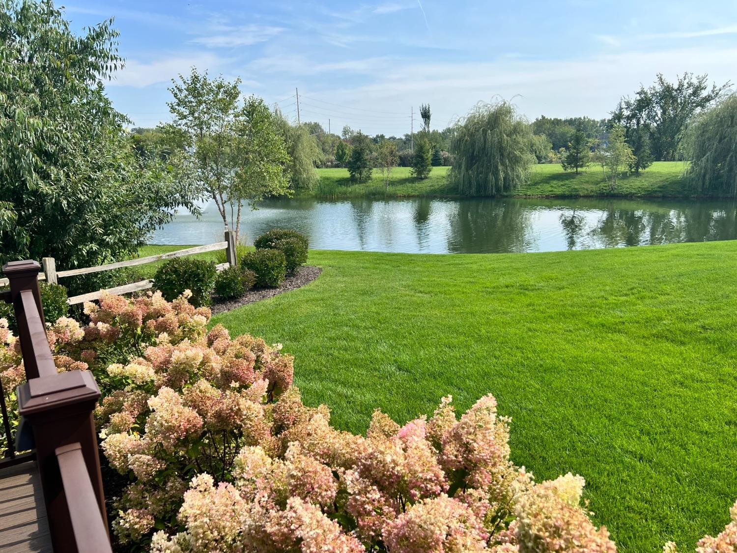 8415 Dancing Waters Lane St. John, IN 46373 - Photo 6 of 31 a view of a garden with a lake