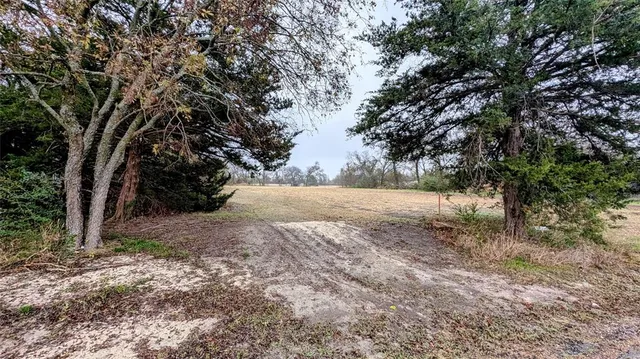 a view of dirt yard with a tree