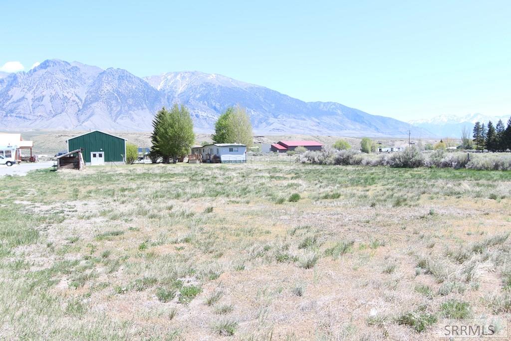 1003 Custer Street Mackay, ID 83251 - Photo 6 of 19