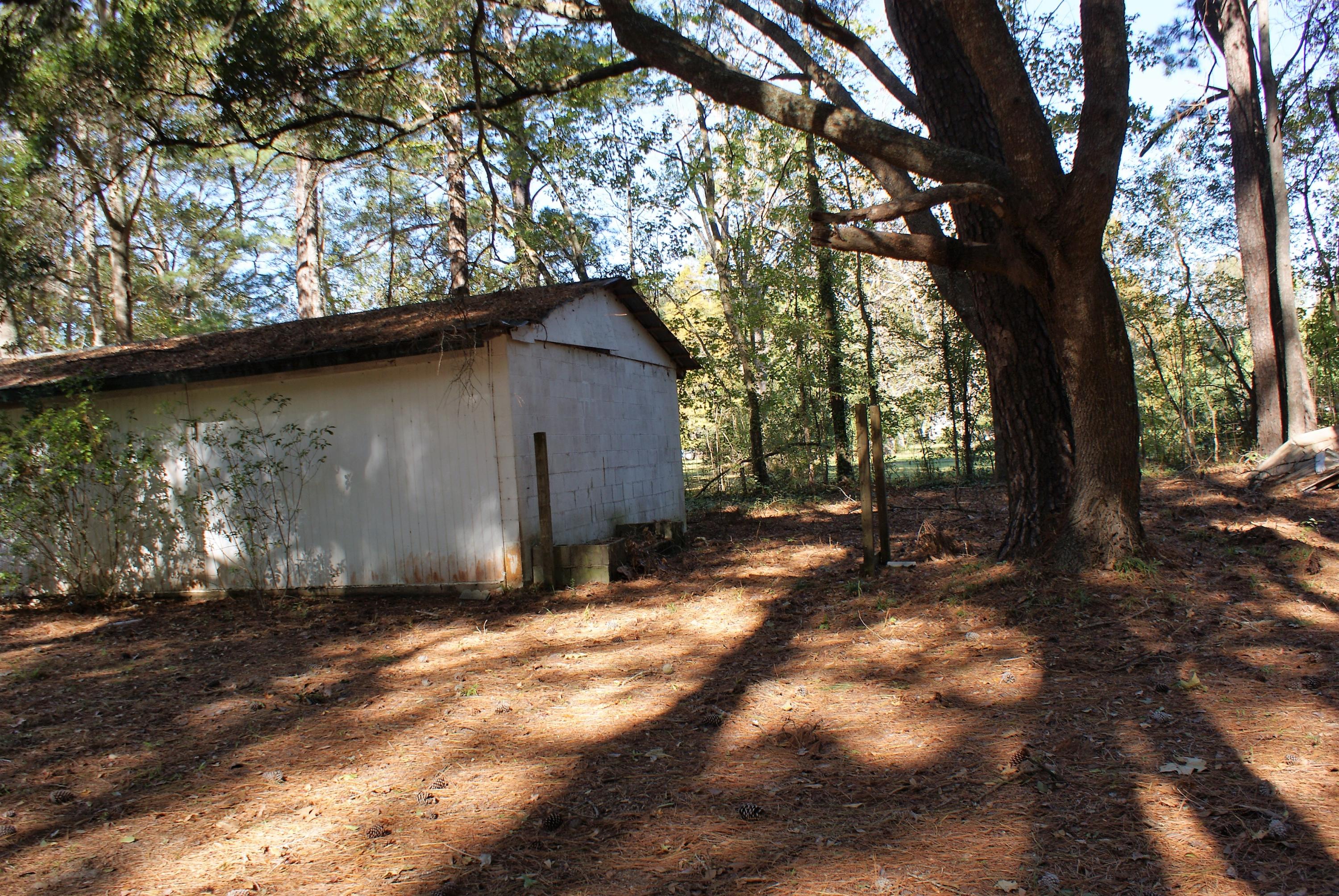 3307 Possum Corner Road Walterboro, SC 29488 - Photo 5 of 24 Back Yard