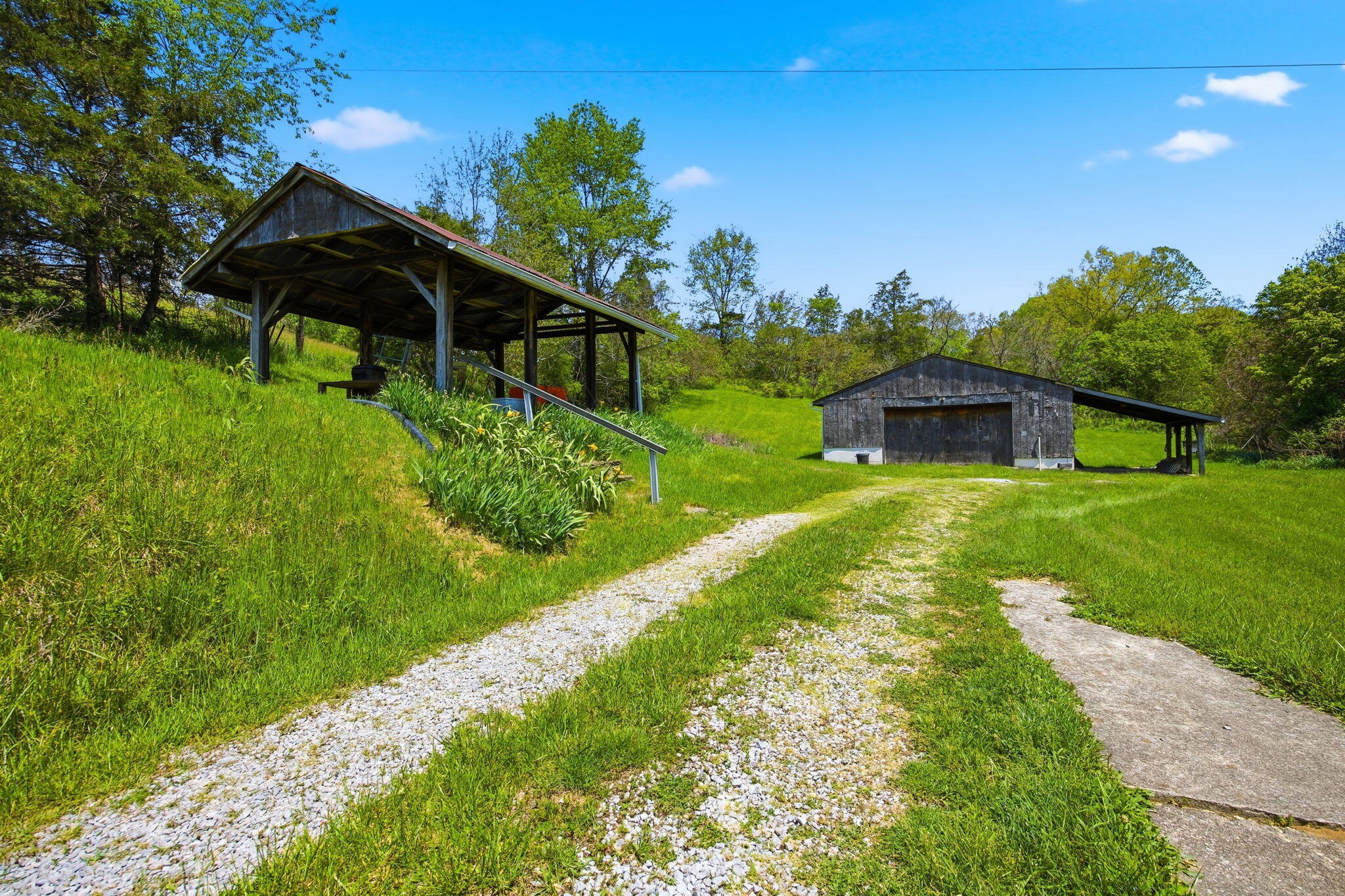 381 North Rays Fork Road Sadieville, KY 40370 - Photo 44 of 77 48-web-or-mls-042NRays Fork