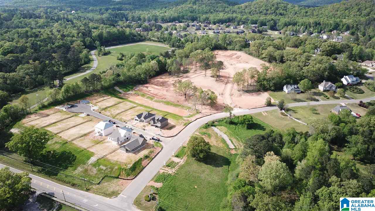 30 MacDonald Cove Springville, AL 35146 - Photo 6 of 9