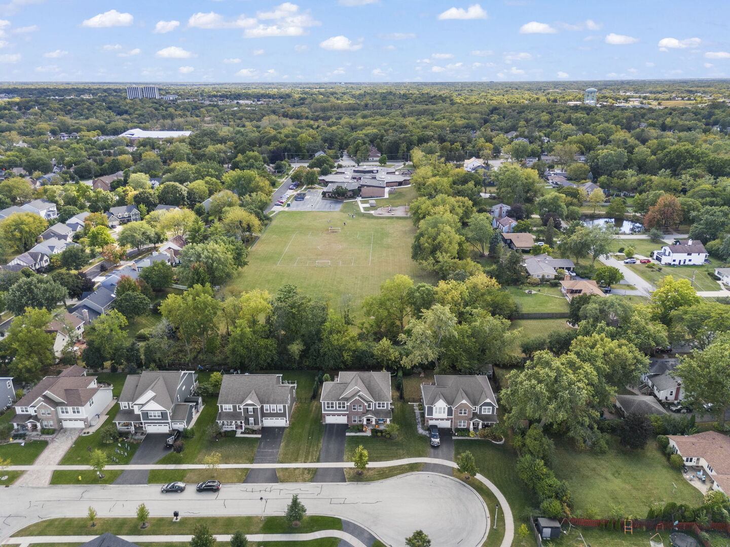 1240 West Thomas Road Wheaton, IL 60187 - Photo 45 of 58