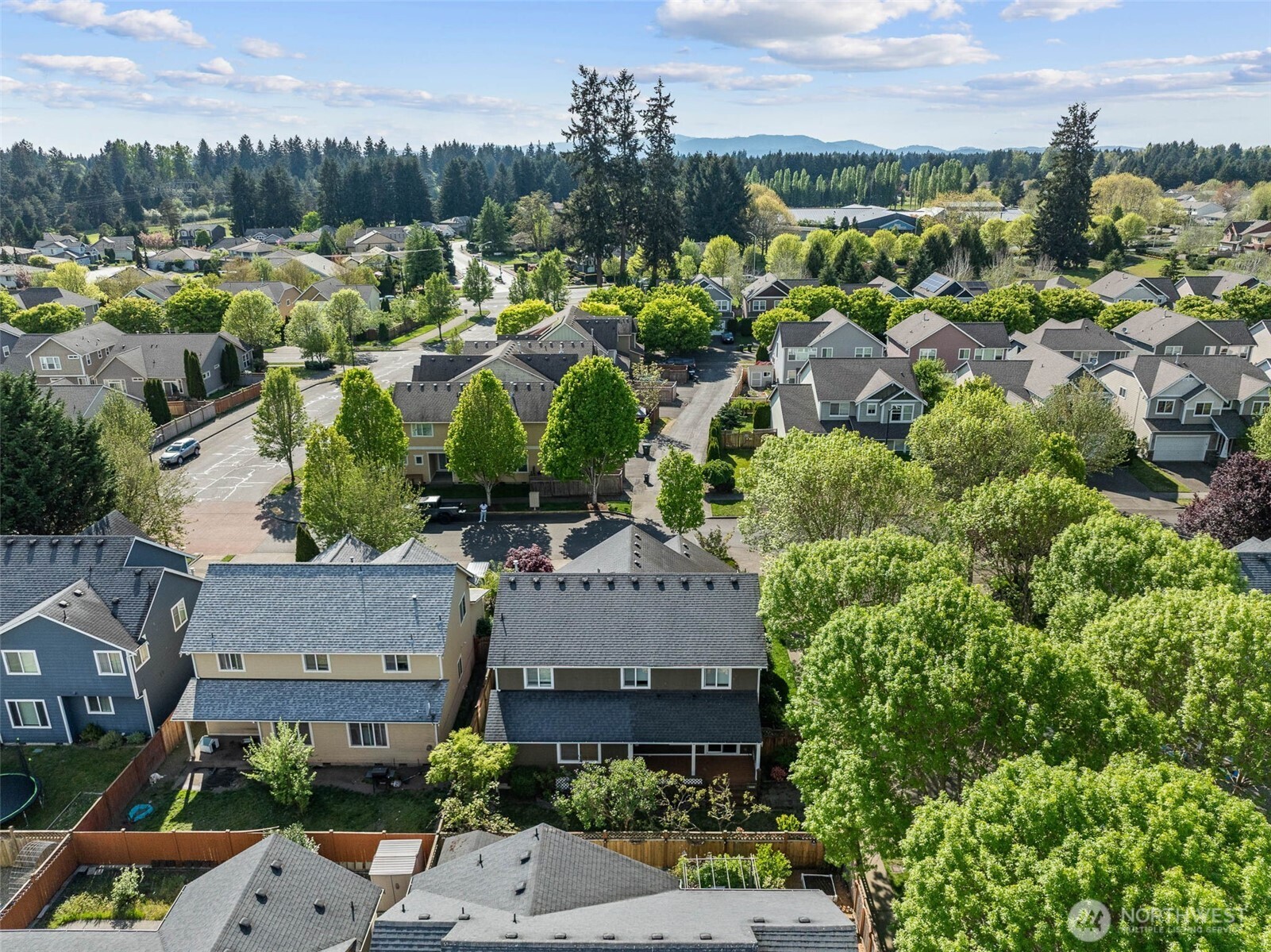 7006 Radius Loop Southeast Lacey, WA 98513 - Photo 36 of 37 Gallery Image 36