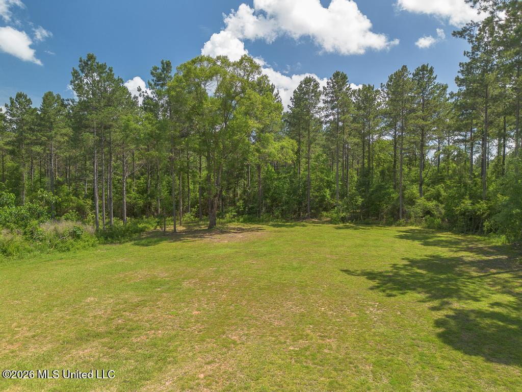 Blackwell Farm Road Saucier, MS 39574 - Photo 2 of 12 29-18