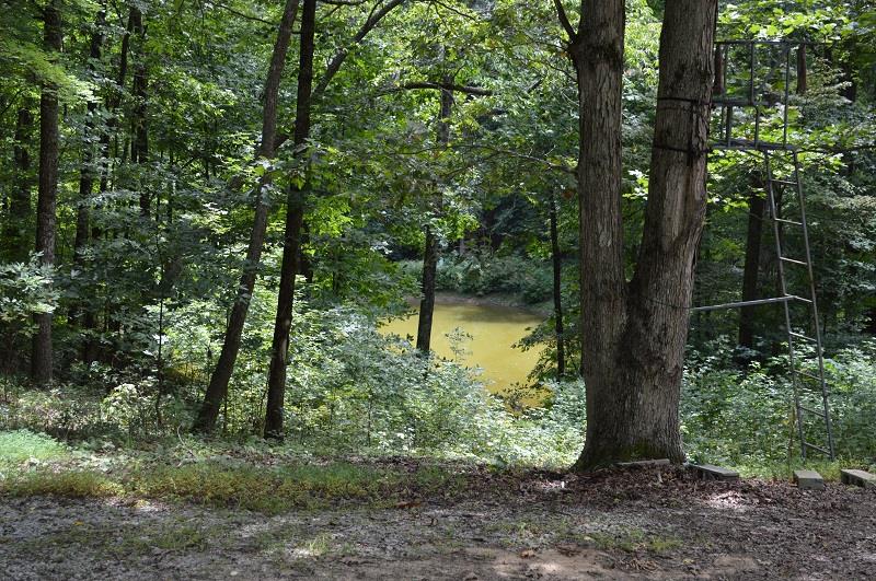 1215 Murrell Bench Road Belvidere, TN 37306 - Photo 23 of 25 Gallery Image 23