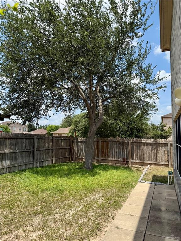 3100 Princeton Avenue McAllen, TX 78504 - Photo 32 of 40 a view of a backyard with large tree and wooden fence