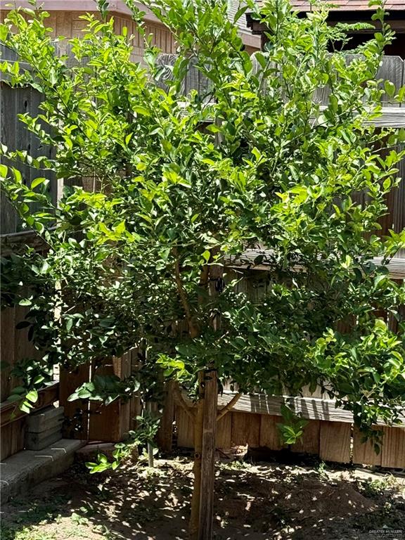 3100 Princeton Avenue McAllen, TX 78504 - Photo 35 of 40