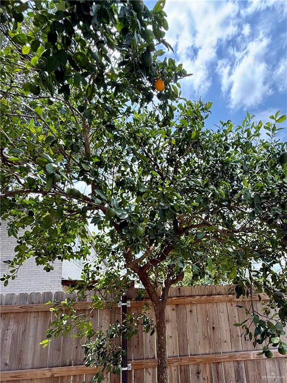 3100 Princeton Avenue McAllen, TX 78504 - Photo 36 of 40 a picture of tree