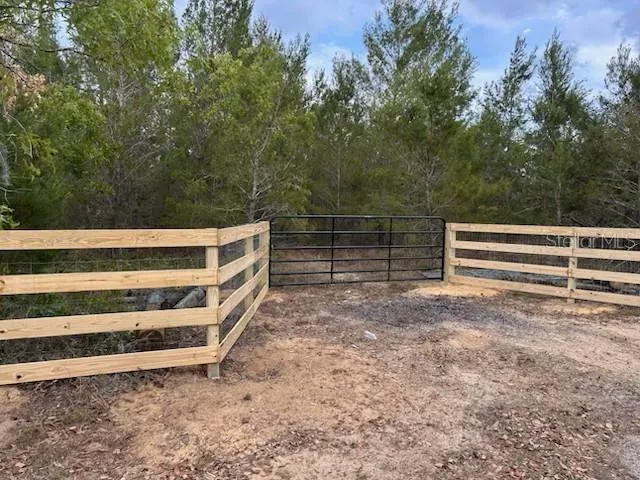 a view of backyard with wooden fence and a large tree