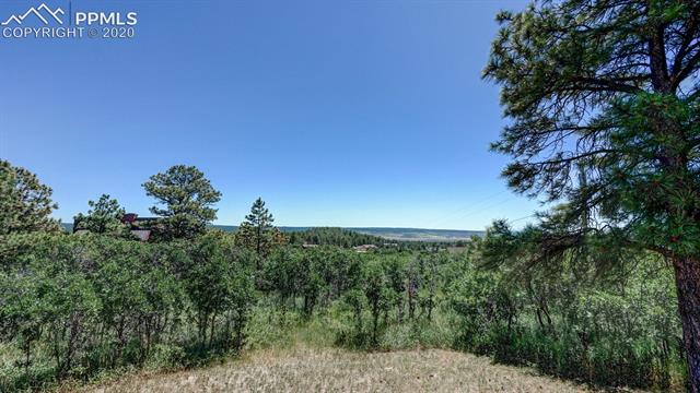 18205 Forest View Road Monument, CO 80132 - Photo 45 of 50