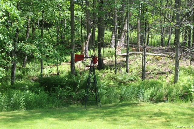 553 Friedenstein Road Roscoe, NY 12776 - Photo 7 of 25