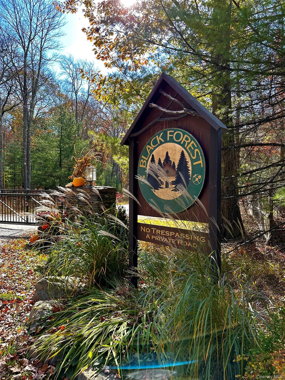 Upper Lumber Road Glen Spey, NY 12737 - Photo 1 of 9 a view of a sign of a park