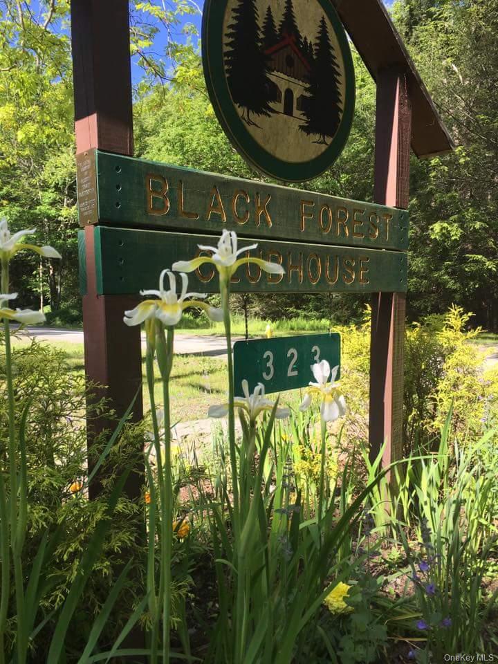 Upper Lumber Road Glen Spey, NY 12737 - Photo 6 of 9