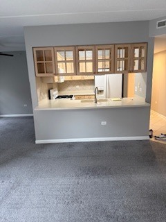 200 North Addison Avenue, Unit 206 Elmhurst, IL 60126 - Photo 17 of 25