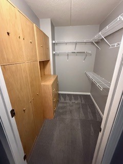 200 North Addison Avenue, Unit 206 Elmhurst, IL 60126 - Photo 5 of 25