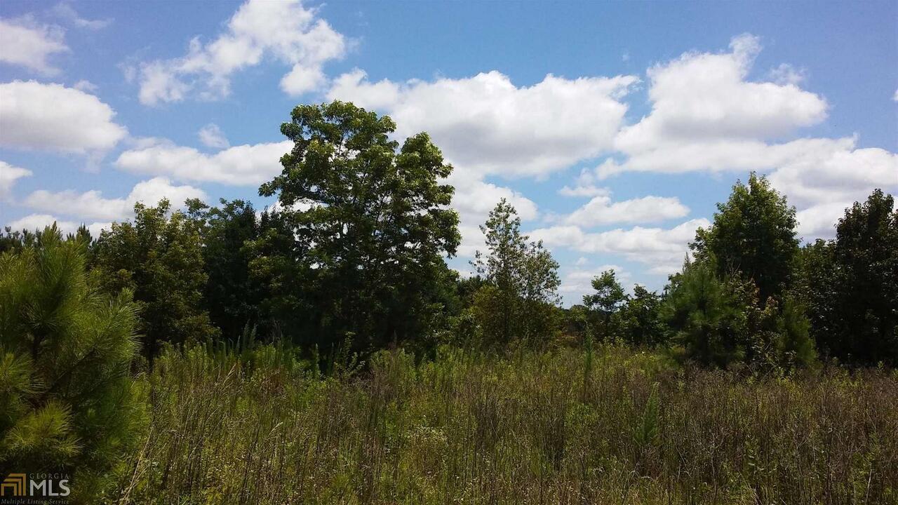 0 McKinley Road, Unit LOT 4 Zebulon, GA 30295 - Photo 1 of 1 a view of a bunch of trees