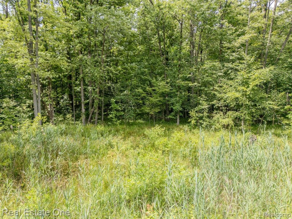 9682 Marquette Road Goodells, MI 48027 - Photo 2 of 13