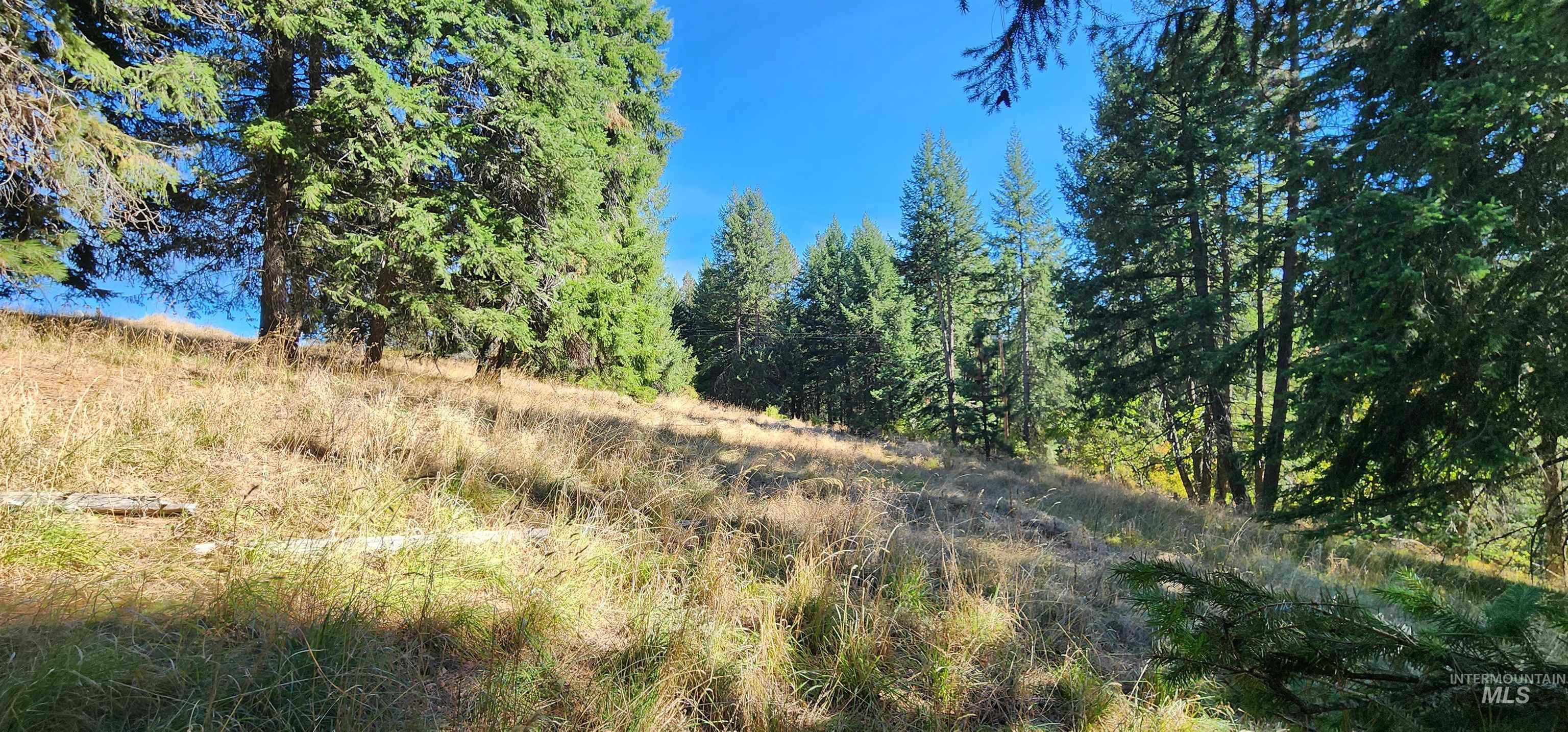 Tbd Red Fir Road Kooskia, ID 83539 - Photo 18 of 34