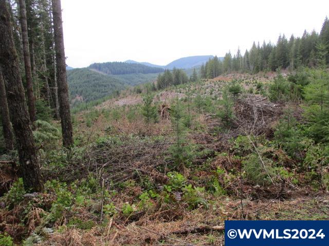 0 Quartzville Road Cascadia, OR 97329 - Photo 5 of 10