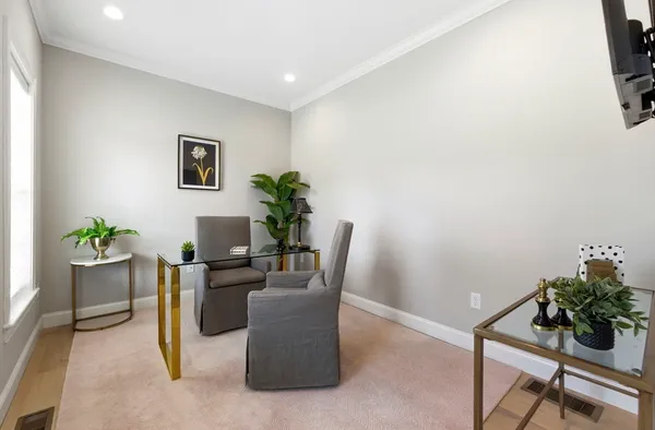a living room with furniture and a potted plant