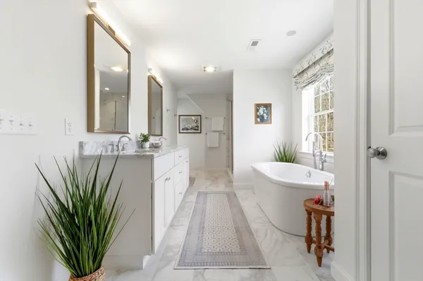 a bathroom with a sink a mirror and a potted plant