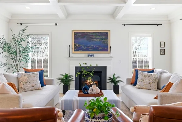 a living room with furniture a fireplace and a potted plant