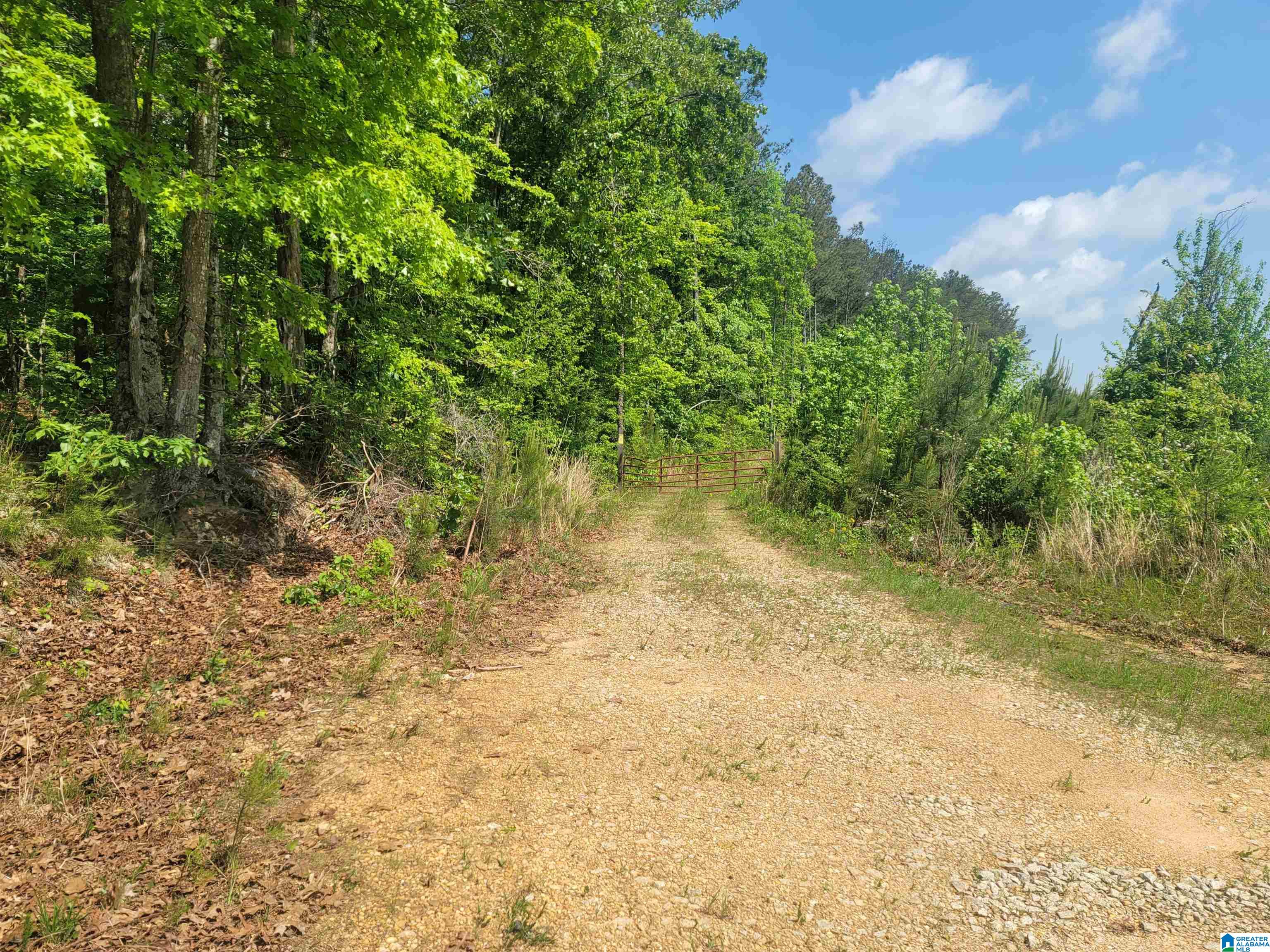 0 Depot Street Fruithurst, AL 36262 - Photo 2 of 3