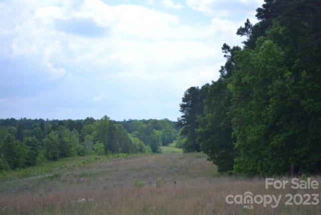 0 Woodleaf Road, Unit NULL Salisbury, NC 28147 - Photo 4 of 6 Gallery Image 4