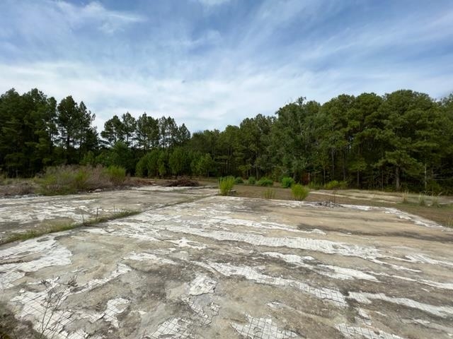 21 Highway 21 Atmore, AL 36502 - Photo 7 of 7