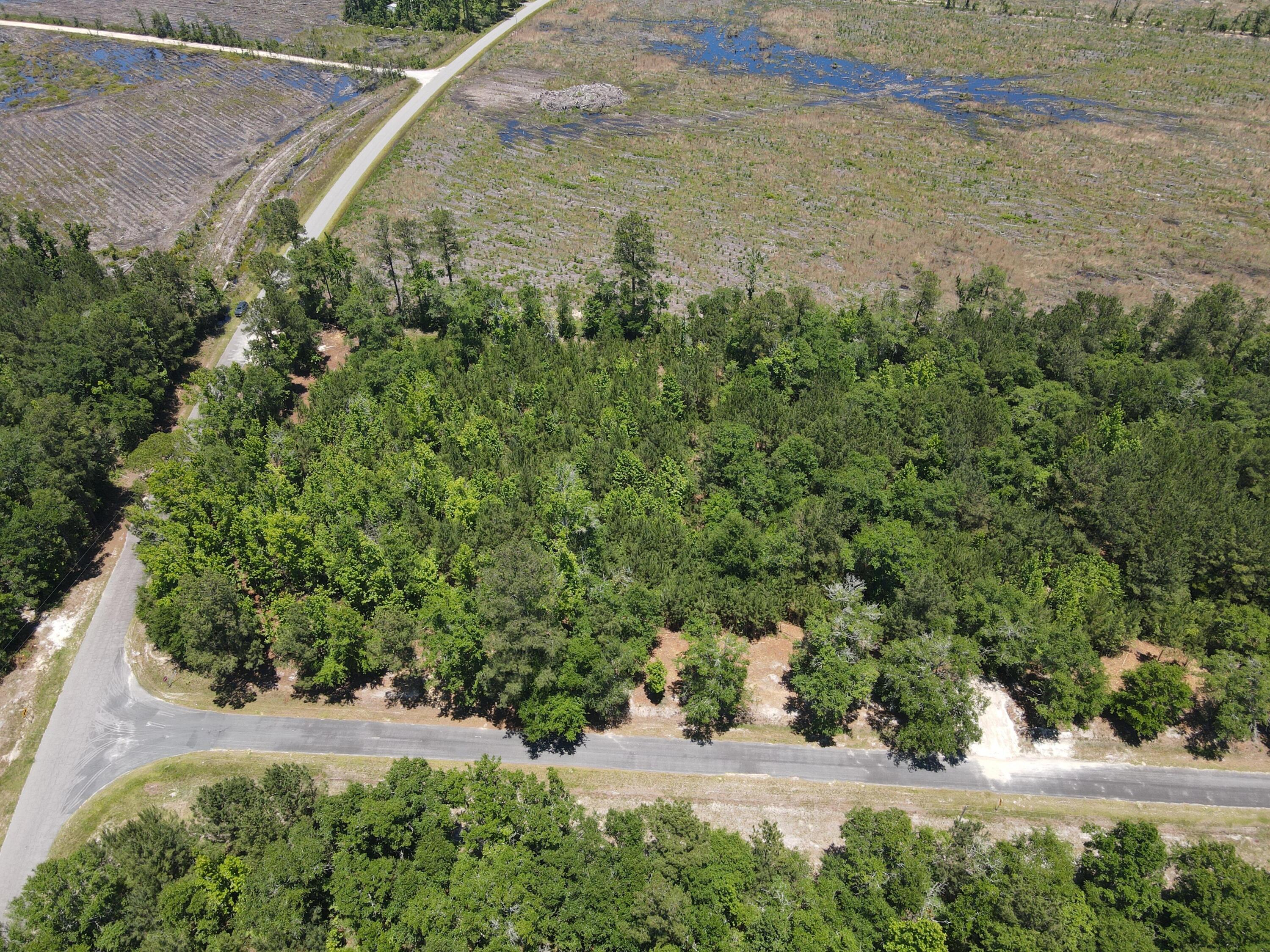 0 Tumbleweed Road Smoaks, SC 29481 - Photo 6 of 11