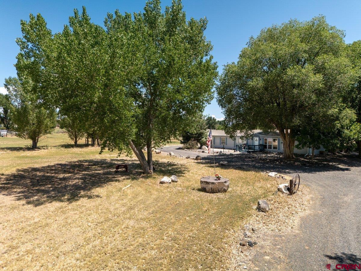 12142 2135th Road Austin, CO 81410 - Photo 11 of 45