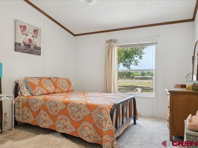 12142 2135th Road Austin, CO 81410 - Photo 30 of 45