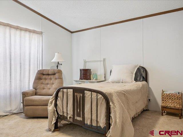 12142 2135th Road Austin, CO 81410 - Photo 31 of 45