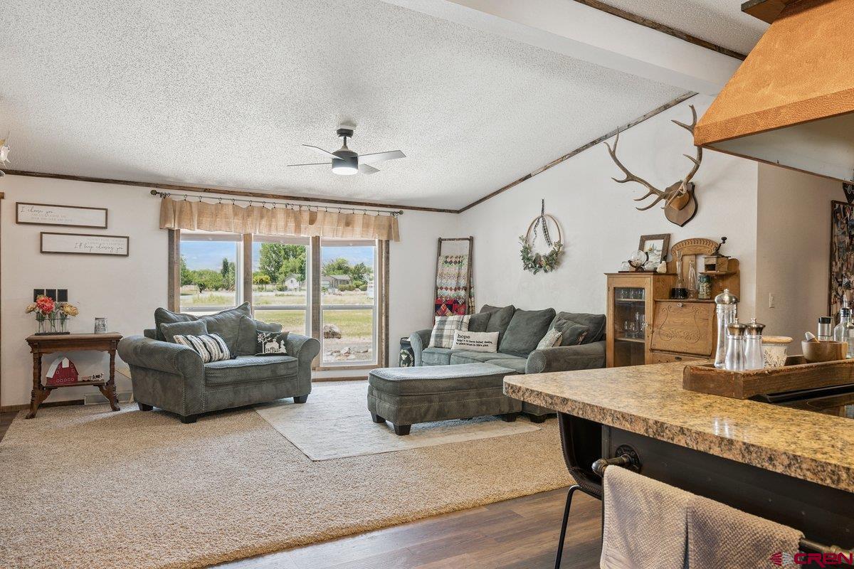 12142 2135th Road Austin, CO 81410 - Photo 6 of 45 a living room with furniture and a large window