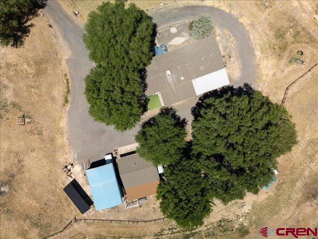 12142 2135th Road Austin, CO 81410 - Photo 9 of 45