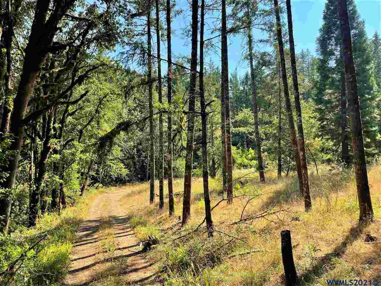 15470 May Road Dallas, OR 97338 - Photo 5 of 32
