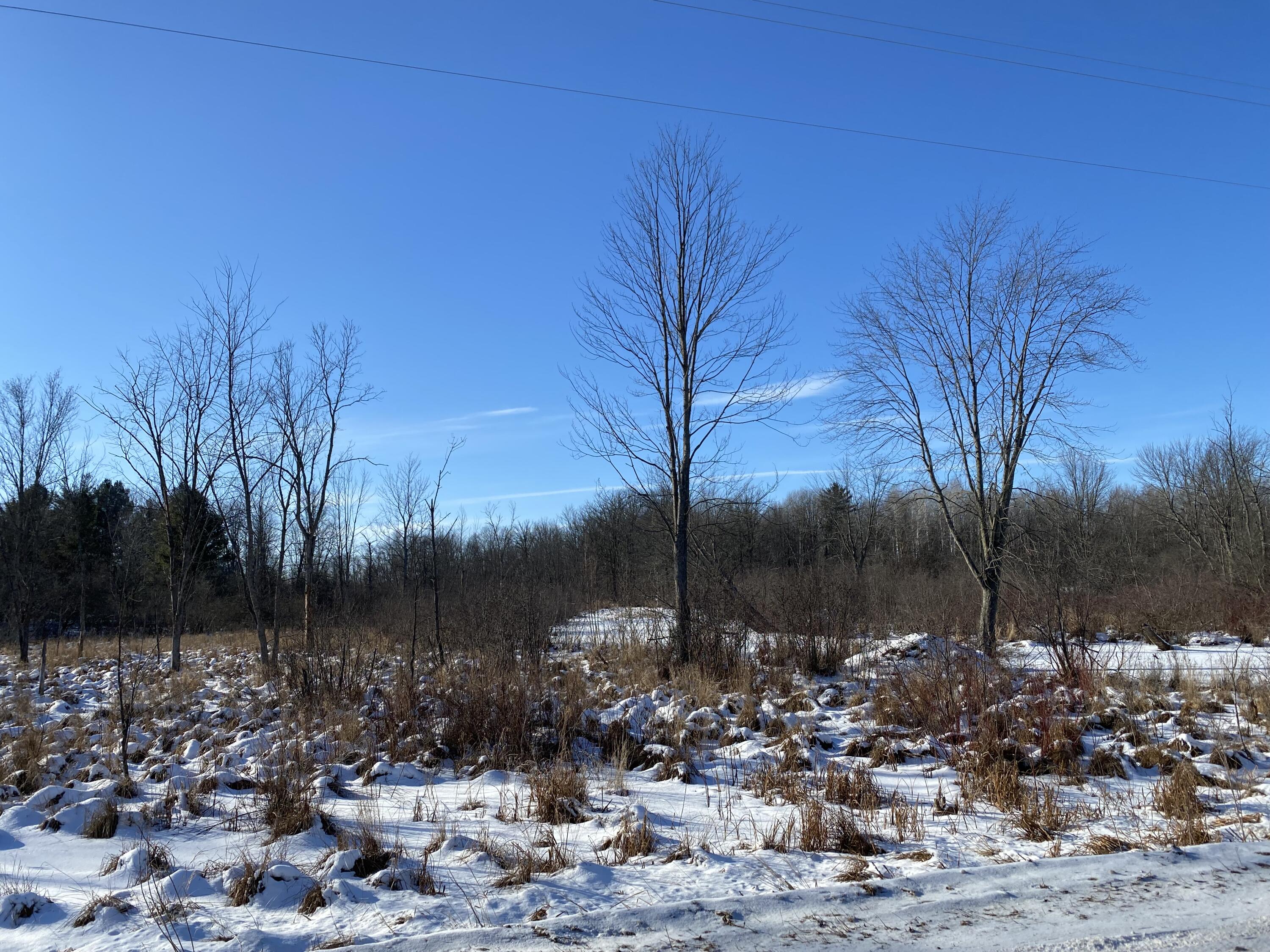 South Rolland Road Blanchard, MI 49310 - Photo 6 of 7 IMG_6209