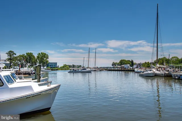 a view of a lake with boats