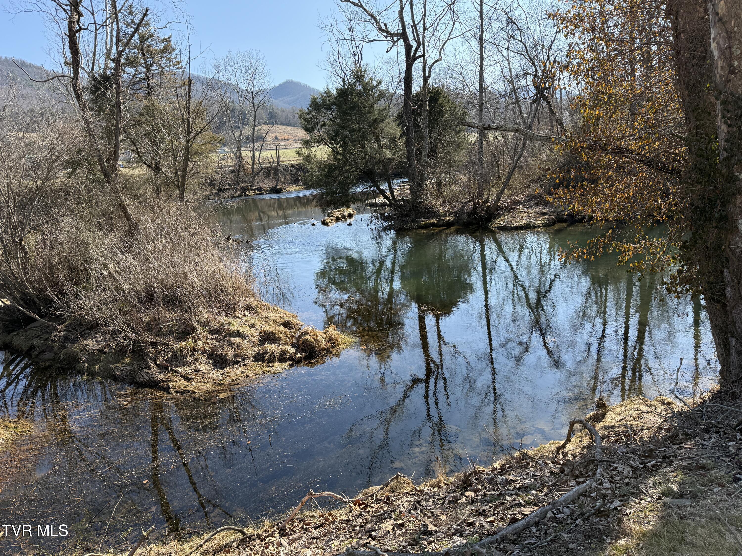 426 River Islands Road Elizabethton, TN 37643 - Photo 136 of 167 IMG_3677