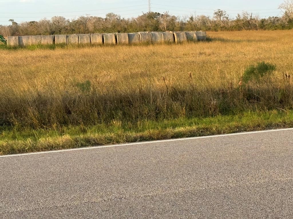 45 County Road 45 Angleton, TX 77515 - Photo 13 of 16 a view of lake with mountain