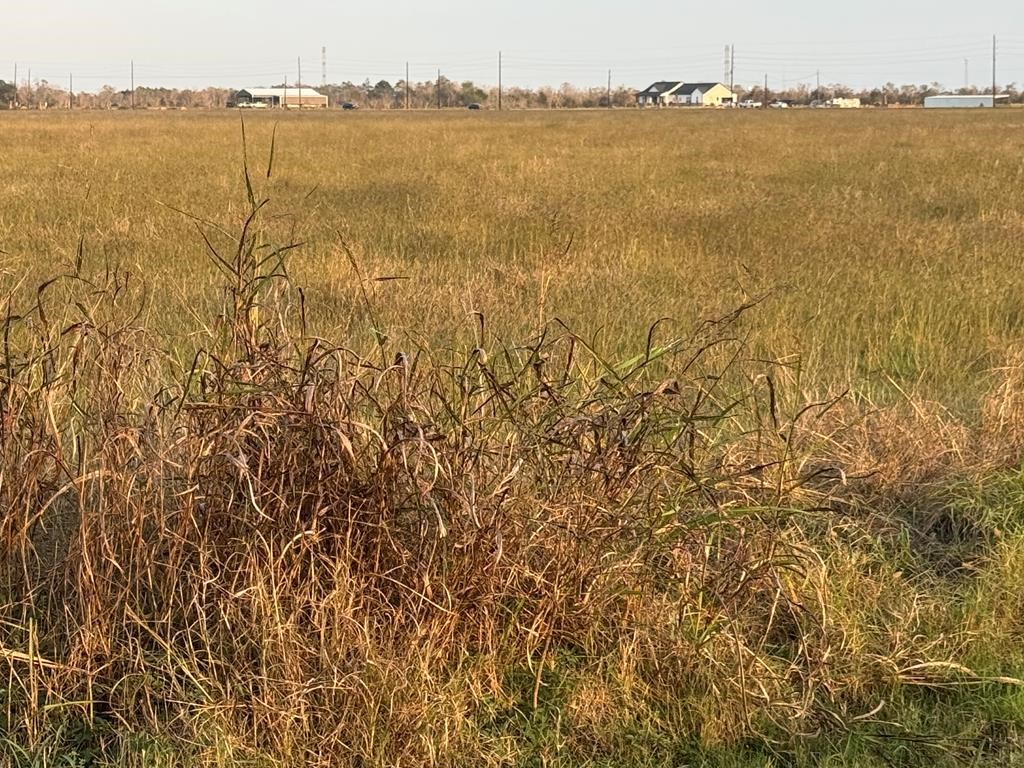 45 County Road 45 Angleton, TX 77515 - Photo 10 of 16 a view of an ocean