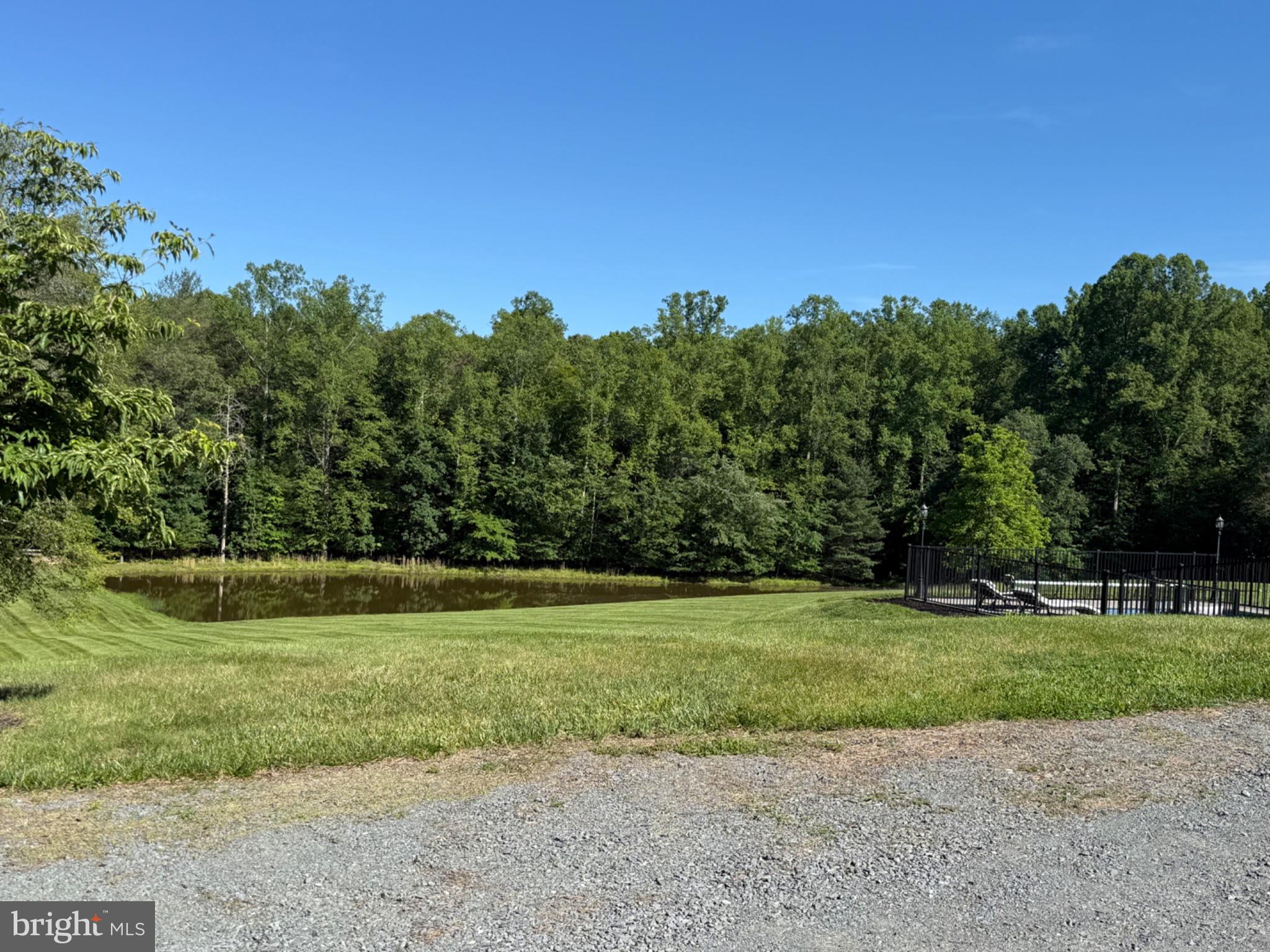 11337 Old Stillhouse Road Boston, VA 22713 - Photo 5 of 7 Serene pond nestled in lush greenery.