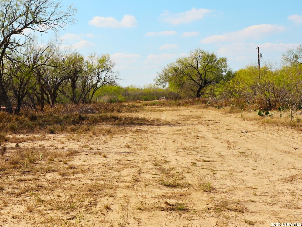 0 3rd Street Christine, TX 78026 - Photo 5 of 12