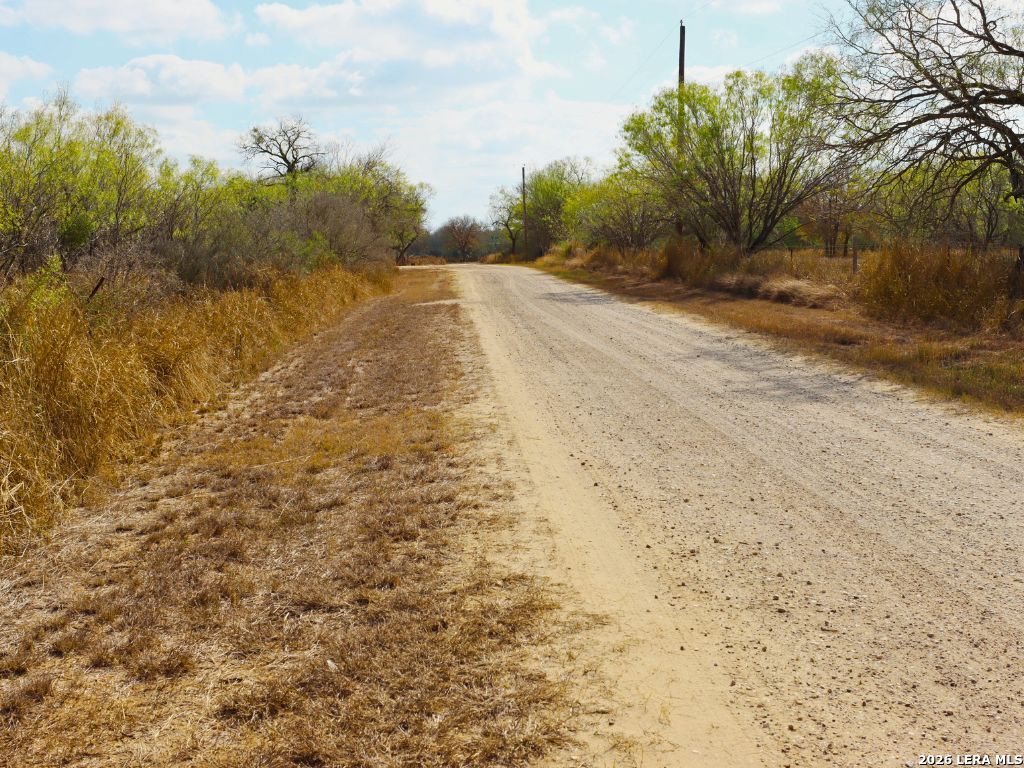 0 3rd Street Christine, TX 78026 - Photo 6 of 12