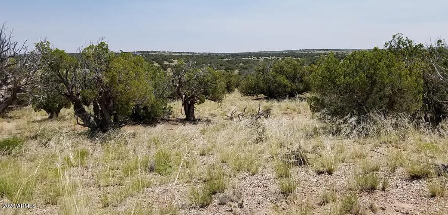 234 County Road St. Johns, AZ 85936 - Photo 12 of 13 234 County Rd N6371