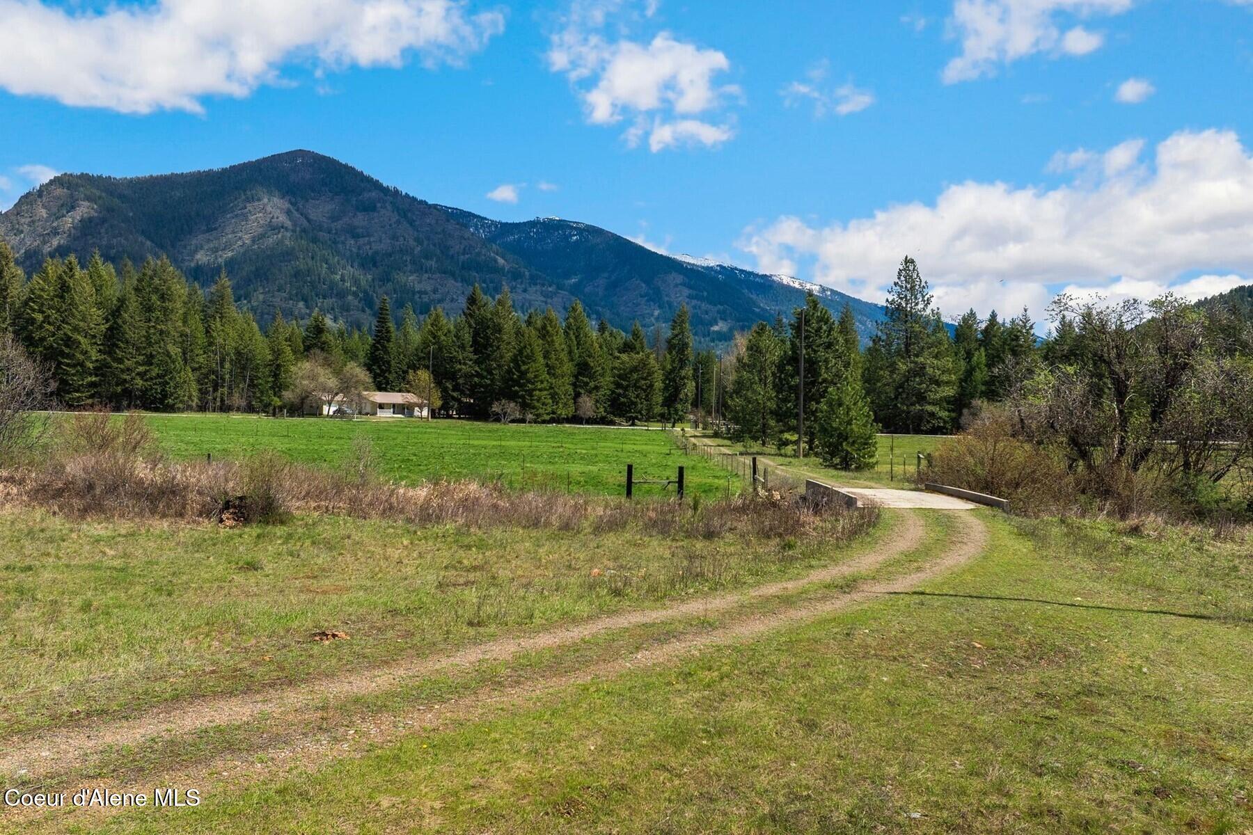 2359 East Spring Creek Road Clark Fork, ID 83811 - Photo 15 of 15 Driveway from Spring Crk Rd