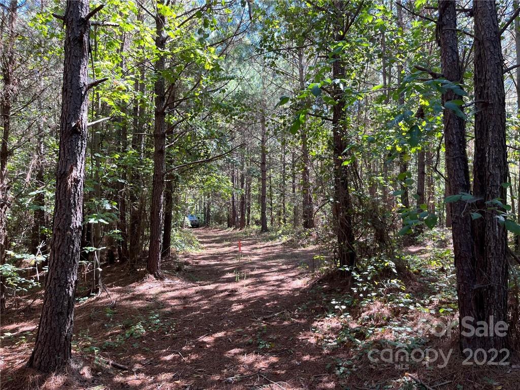 0 Pearidge Road, Unit 7 Bostic, NC 28018 - Photo 2 of 2 a view of a forest filled with trees