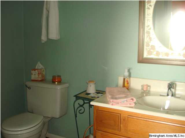 1799 Peaceful Valley Road Eastaboga, AL 36260 - Photo 17 of 32